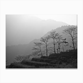 Trees In The Mountains Of Vietnam Canvas Print