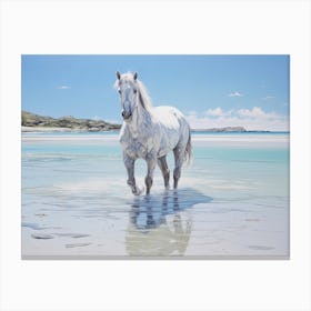 A Horse Oil Painting In Whitehaven Beach, Australia, Landscape 4 Canvas Print