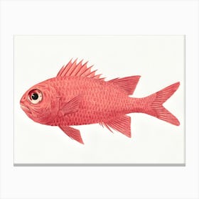 Red Fish Canvas Print