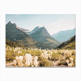 Dried Grass On Mountainside Canvas Print