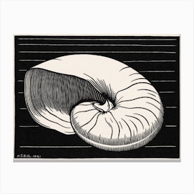Shell, Julie De Graag Canvas Print