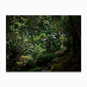 Bali, 7 Canvas Print