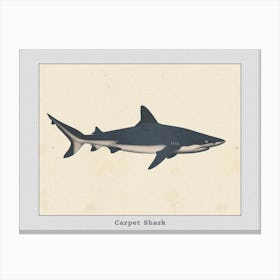 Carpet Shark Silhouette 5 Poster Canvas Print