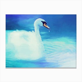 Swan In Water 1 Canvas Print