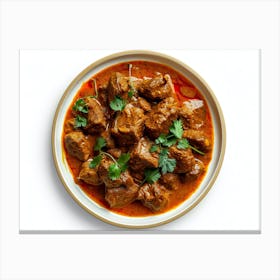 Indian Beef Curry 2 Canvas Print
