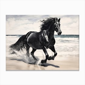 A Horse Oil Painting In Flamenco Beach, Puerto Rico, Landscape 3 Canvas Print