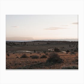 Northern Arizona Meadow Canvas Print