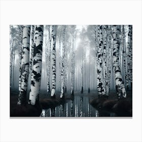 Birch Forest 69 Canvas Print