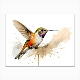 Kolibri Hummingbird - Water Color Painting 7 Canvas Print