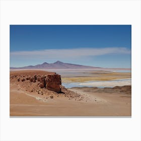Desert colours Canvas Print