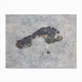 Wet Foot Print On A Rough Grungy Surface Canvas Print