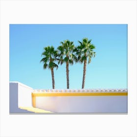 3 Palmtrees in the blue sky // Ibiza Nature & Travel Photography Canvas Print