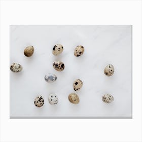 Quail Eggs 27 Canvas Print