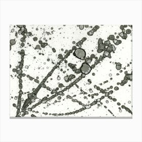 Gray Abstraction Gray Rain Canvas Print
