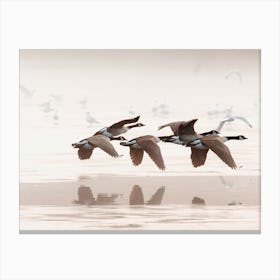 Goose Taking Flight Canvas Print
