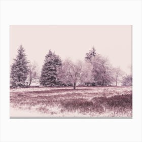 Winter Landscape in Winterberg 2 Canvas Print