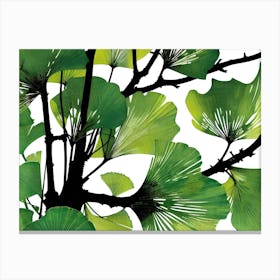 Ginkgo Leaves 55 Canvas Print