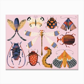 Insects Beatles Butterflies Moss Dragonfly On Pink Canvas Print