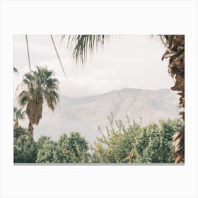 Palm Springs Views Canvas Print