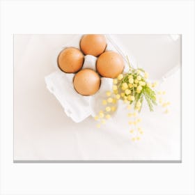 Eggs In A Box Canvas Print