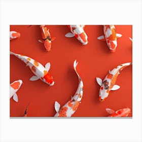 Koi Fish 8 Canvas Print