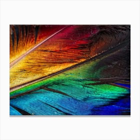 Close Up Of A Multicolored Feather Displaying An Intricate Gradient Shifting Through Vibrant Hues I Canvas Print