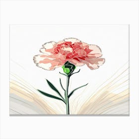 Carnation 19 Canvas Print