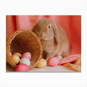 Easter Bunny 24 Canvas Print