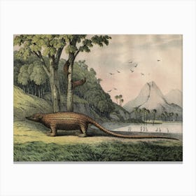 Vintage Kolb 12 Tafel 40 Pangolin Canvas Print