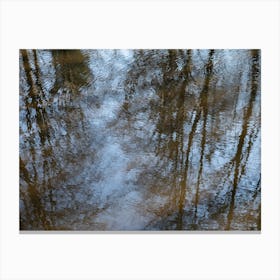 Reflection of trees and the blue sky in water Canvas Print
