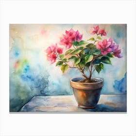 Bougainvillea Canvas Print