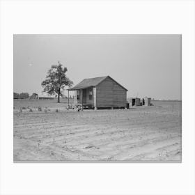 Untitled Photo, Possibly Related To Sharecropper S Cabin Surrounded By Cotton Field Ruined By Hail, Note Absen Canvas Print