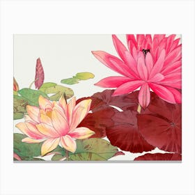 Chinese Water Lilies 1 Canvas Print