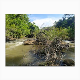 River In The Jungle 2 Canvas Print