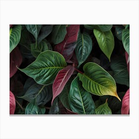 Eucalyptus Leaves Canvas Print