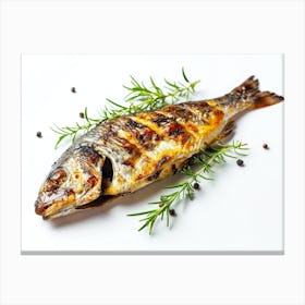 Grilled Fish With Herbs 1 Canvas Print