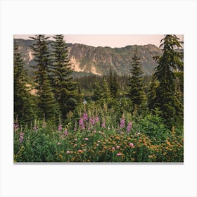 Wildflowers In The Mountains Canvas Print