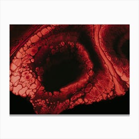 Red - Blood Cell Canvas Print