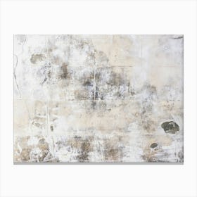 Moldy Wall Canvas Print