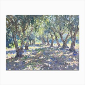 Olive Trees In The Sun Canvas Print