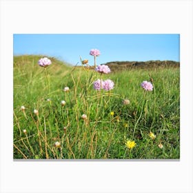 Wildflowers Canvas Print