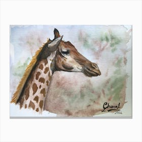 Giraffe Tone Canvas Print