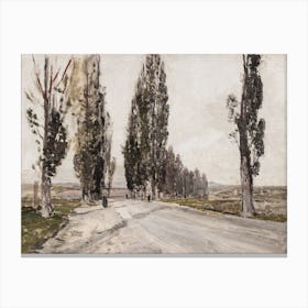 Road With Trees Canvas Print