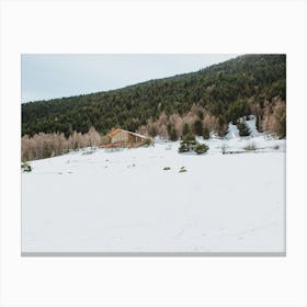 Winter Cabin Canvas Print