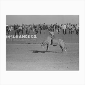 Rodeo Performer Riding Brahma Bull At The Rodeo Of The San Angelo Fat Stock Show, San Angelo, Texas By Russell Lee Canvas Print