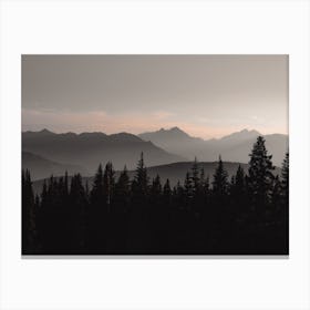 Moody Forest Sunset Canvas Print