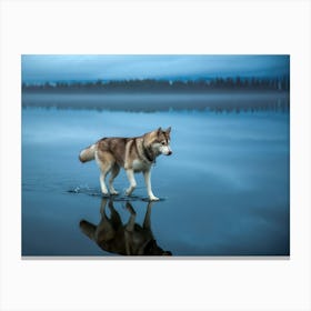 Husky Dog Walking In Water Leinwandbild