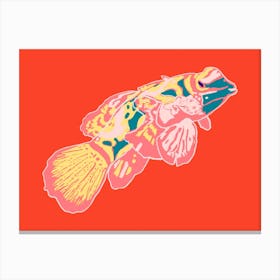 Fish Of Colours Canvas Print