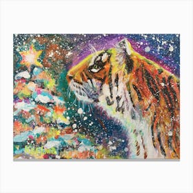 A Wild Winter S Night Canvas Print