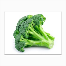 Broccoli 3 Canvas Print